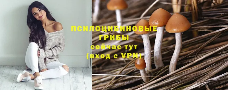 Псилоцибиновые грибы Magic Shrooms Островной